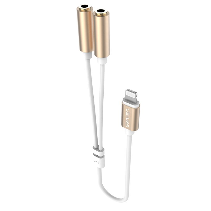 iPhone Lightning to 3.5mm Adapter Cable (2-in-1)