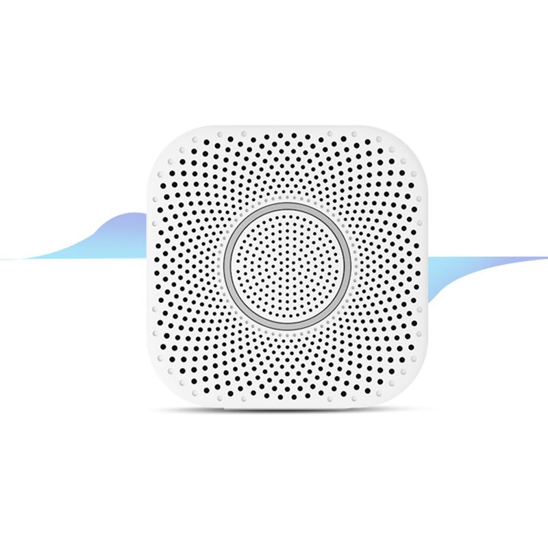 NetEase Gemini Wireless Bluetooth Speaker