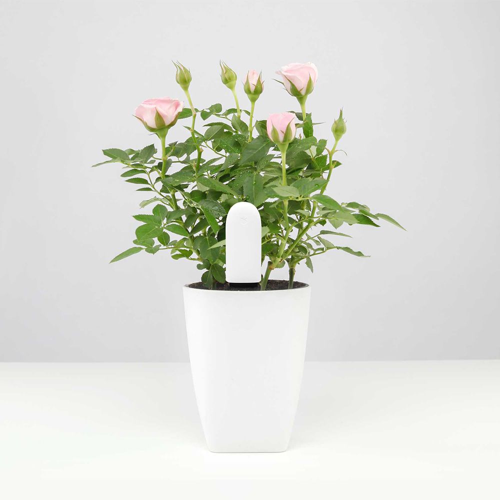Xiaomi Flower Care™ 4 in 1 Plant Smart Monitor (White)