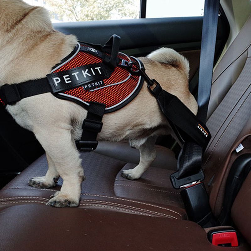 Petkit Car Safety Belt for Dog
