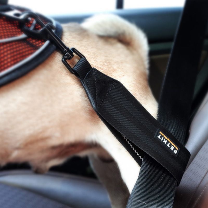 Petkit Car Safety Belt for Dog