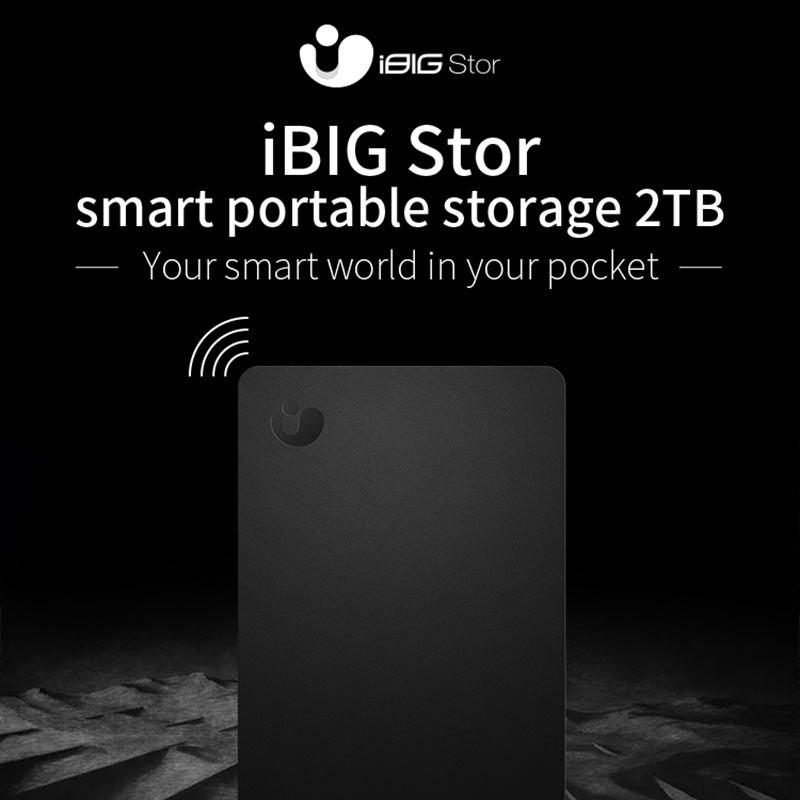 iBIG Stor Lite Smart Portable Storage