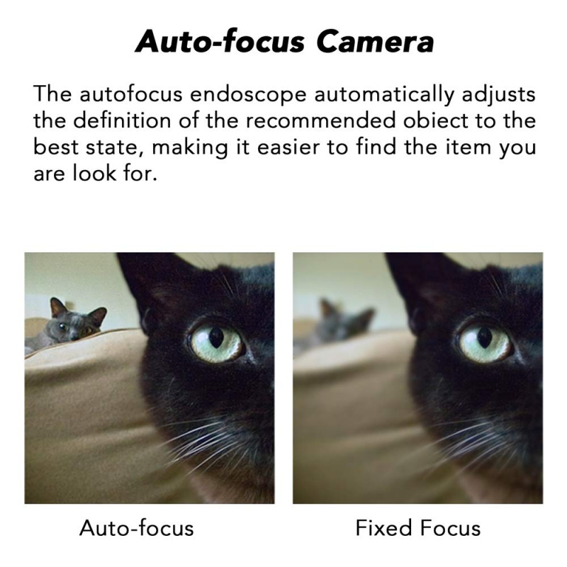 Teslong Auto Focus Endoscope Camera with 5.0 Megapixels FHD Micro Inspection Camera