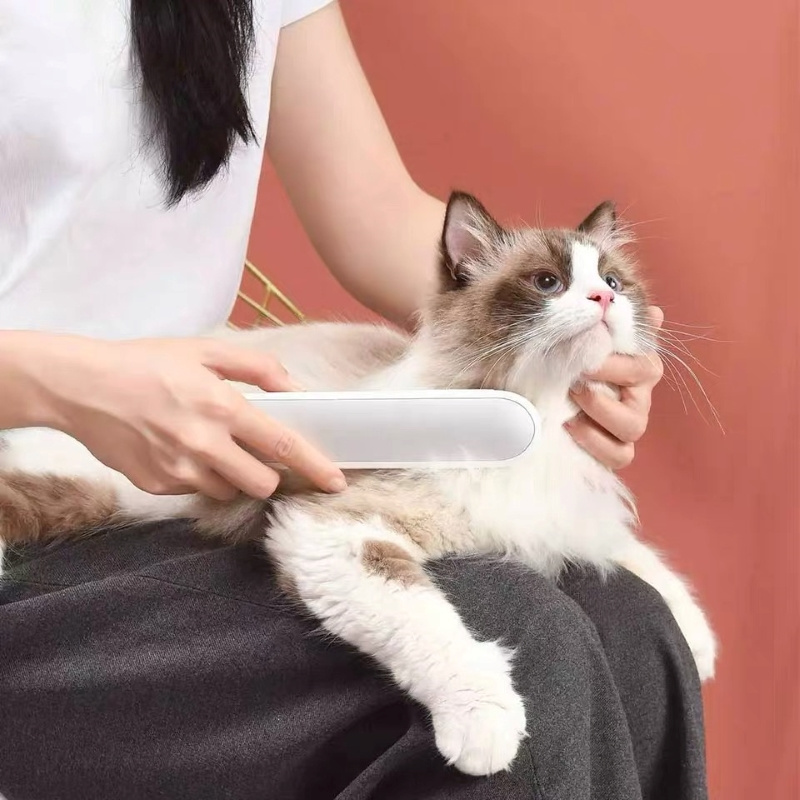 Pet Sterilization Portable Handheld Multifunctional Massage Comb