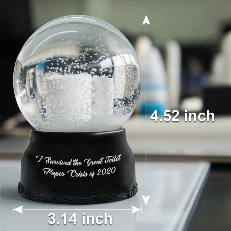 Christmas snow globe I Survived The Great Toilet Paper Crisis of 2020