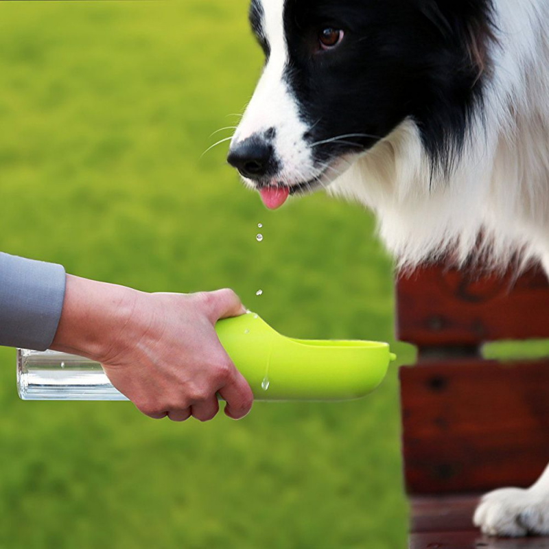 PETKIT EVERSWEET Portable Dog Water Bottle