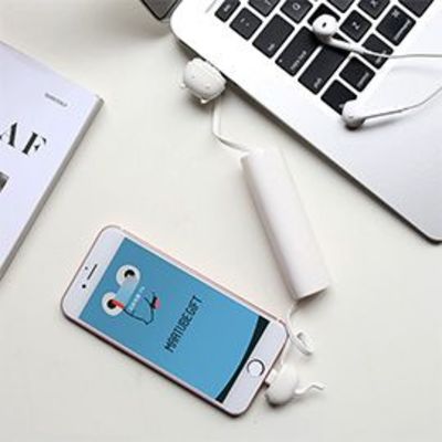 Charble 2 in 1 Charging Cable and Power Bank for iPhone