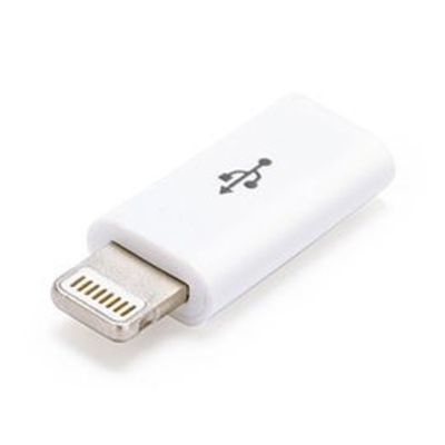 Lightning to Micro USB Adapter (White)